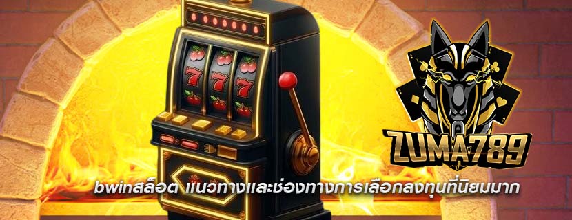 bwinสล็อต เเนวทางเเละช่องทางการเลือกลงทุนที่นิยมมาก